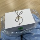 금정점 기아오토큐(모범) | 12대 중대과실 100:0 교통사고 후기 2편