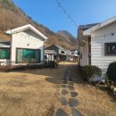 나무펜션 이미지