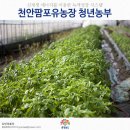 포유농장 이미지