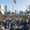 국회의사당 정문 이미지