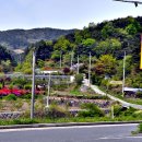 순천시립 공원묘지 이미지