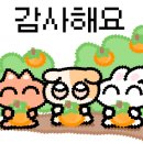 드엘르(de Elle)