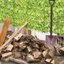 티파니펜션 이미지