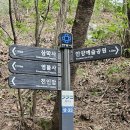 8월 10일 경기도 안양의 명산 삼성산을 산행함 이미지