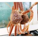 대영유통(주) 이미지