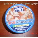 해양참치 이미지