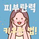 대주사 이미지