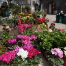 해리전통시장 이미지