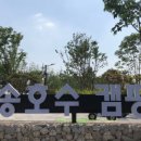 호수캠핑장 이미지