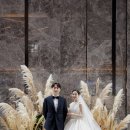 꿈을담은틀 | 페어몬트 앰버서더 서울 그랜드홀 본식스냅 후기 / 에잇세븐포토그라피가 담은 모던한 무드