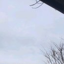상림수목원 네이버블로그