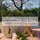 하늘도서관 | 도서관에서 북크닉 즐기기! 남산도서관 무료 피크닉세트 대여 후기 (+ 남산도서관 디지털라운지, 하늘뜰...