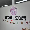 판다킹 | 부평펫테일게코 부천파충류샵 오구이뽀 도마뱀에 다녀온 후기