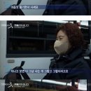 보통의 나날