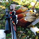 덕일슈퍼 이미지