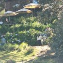 클레이하우스투 이미지