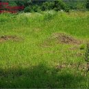 산직보건진료소 이미지