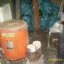 사과랑 고추랑 이미지