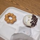 도넛코기토 | 8월 일상_2편