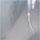 정석자동차정비 이미지