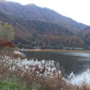 강변에서 이미지