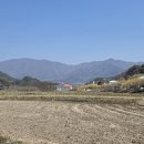 두꺼비농장 Daum카페