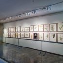 색연필 보타니컬아트 | 서울무료전시 서울식물원 세밀화 (보태니컬아트) 전시회후기