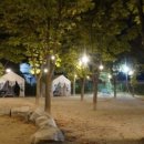 퍼피포레스트 이미지