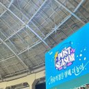 지에스25 장충점 | [혼자 여자배구 직관] 서울 장충체육관 / 2층 지정석 J2구역 1열 / GS칼텍스vs한국도로공사 / 챔피언...