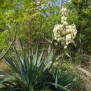 용수절부암 이미지