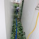 죽도동 맑은물 | 포항 하수구 물 안내려가고 맨홀 넘쳐 뚫어보니 비닐 뭉치 나오네요 - 남구 연일