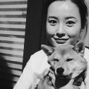 미소헤어룩