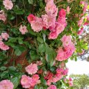 성주관광주유소 이미지