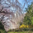 2호선 동백역 4번출구 이미지