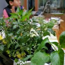 어진농장 이미지