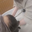 카라헤어 미용실 | 동탄 미용실 박승철헤어스투디오 토키오 인카라미 클리닉 후기