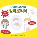 곰곰 김치전 후기 이미지