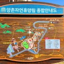 양촌자연휴양림 이미지