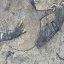 맥적산 고고학 연구 불교미술 운강석굴 중국 미술의 뿌리를 찾는다 이미지