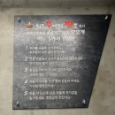 [원주] 짬뽕 맛집 원주 뚝배기 짬뽕 본점 내돈내산 후기