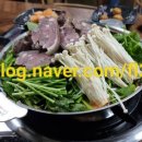 원두막 흑염소 이미지