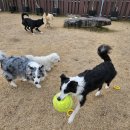 블루멍S 이미지