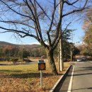 선광2태양광 이미지