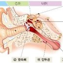 (주)비밸런스