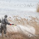 제이디팜 이미지