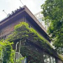 금마루 | 천호역 가성비 맛집 / 금마루 식당 평일 점심 후기