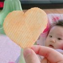 올리브프렌즈 이미지