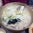 중앙동맛집 수국칼 왕갈비 칼국수 농후한 촌계 칼국수 후기