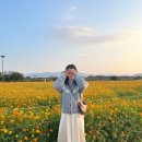 임산시장 | [임신일기#9. 산모교실, 가을나들이, 임신 22주차 제주도 태교여행, 발란스핏 마사지기 후기]