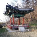 밀양박씨 오충 정려 이미지